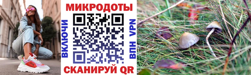 Псилоцибиновые грибы Cubensis  Партизанск 